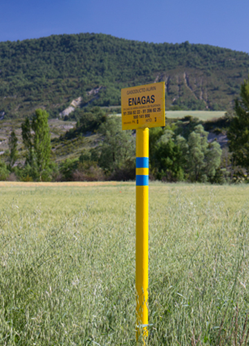 Enagás landmark in green field