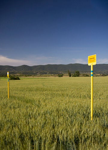 Two landmarks in a green field