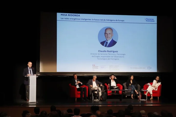 Claudio Rodríguez en el encuentro del Institut Français "Las redes energéticas inteligentes"