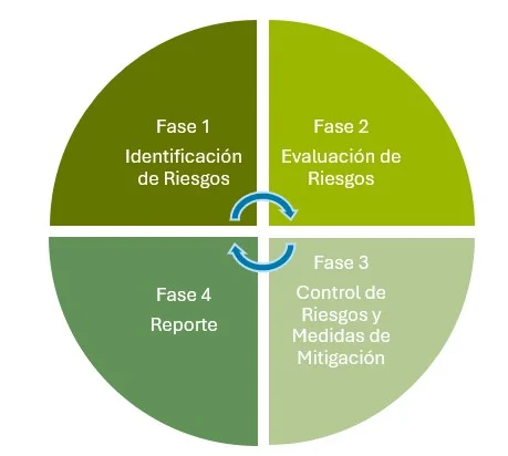 Fases riesgos