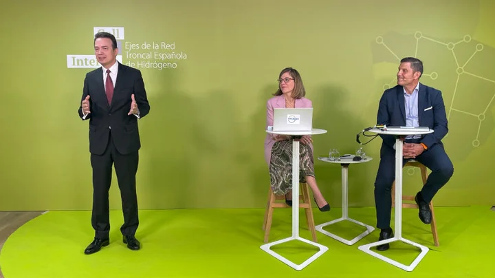 Enagás directors during an online event
