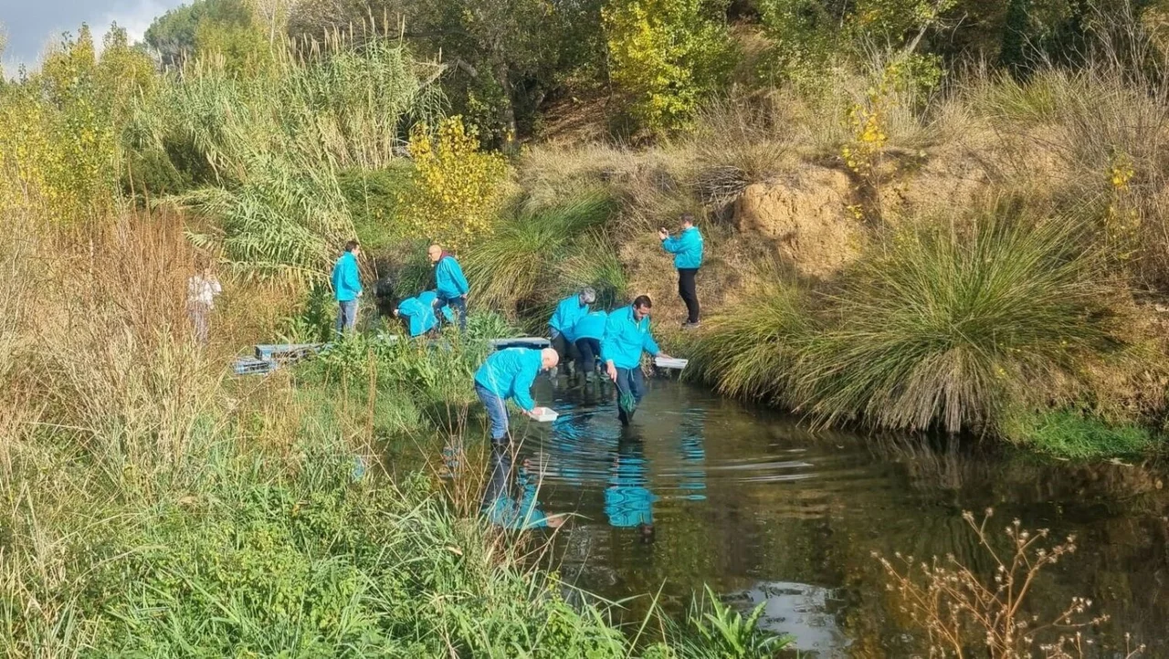 Enagás volunteers at a volunteering activity in Barcelona