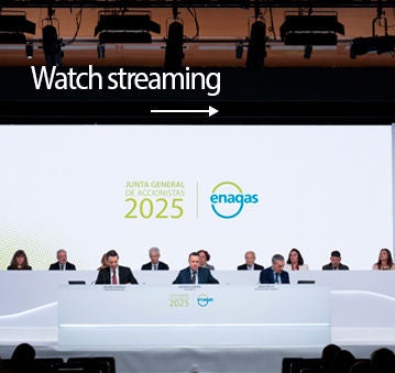 Watch Enagás 2025 General Shareholders' Meeting