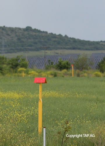 Landmark in green field