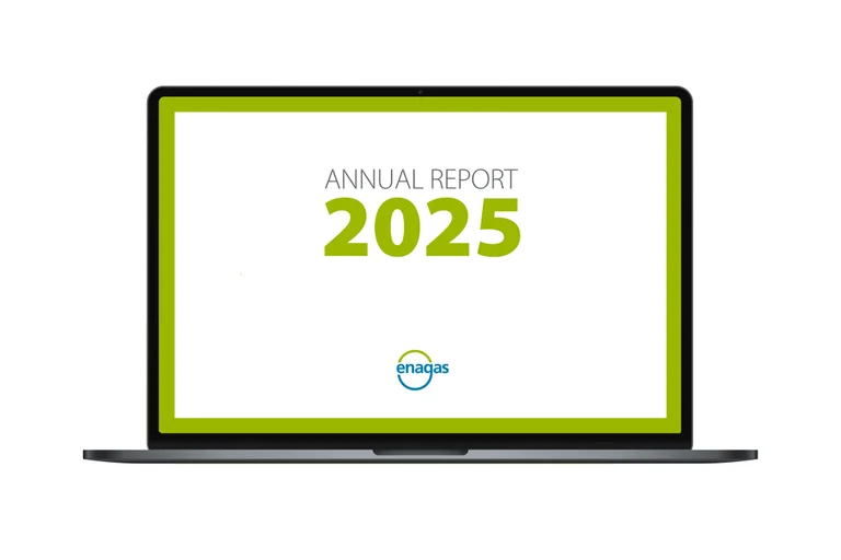 Annual Report 2025