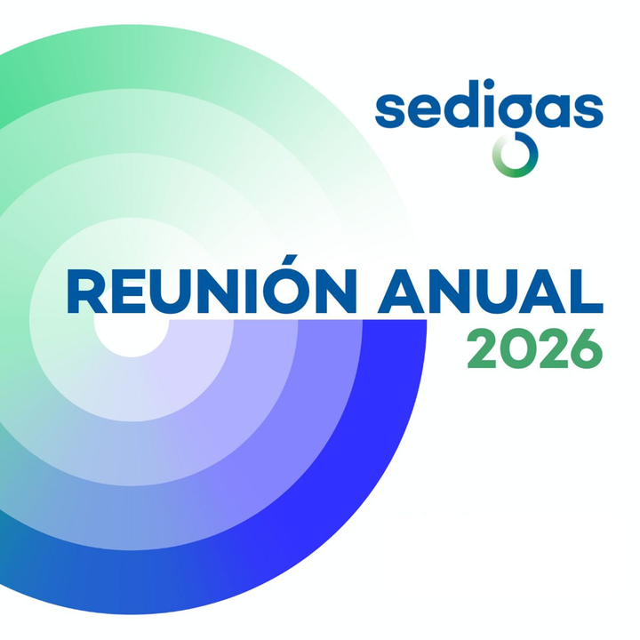 Reunión Anual de Sedigas 2026