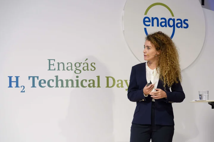 Amalia Pizarro, analista, en el H2 Technical Day