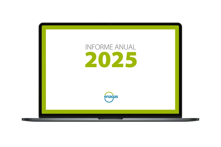 Informe Anual 2025