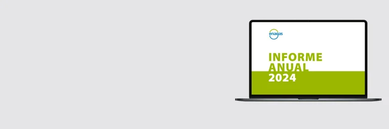 informe anual 2024 Enagás