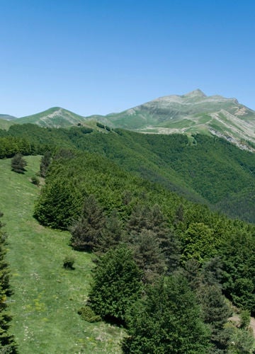Green field in a mountain