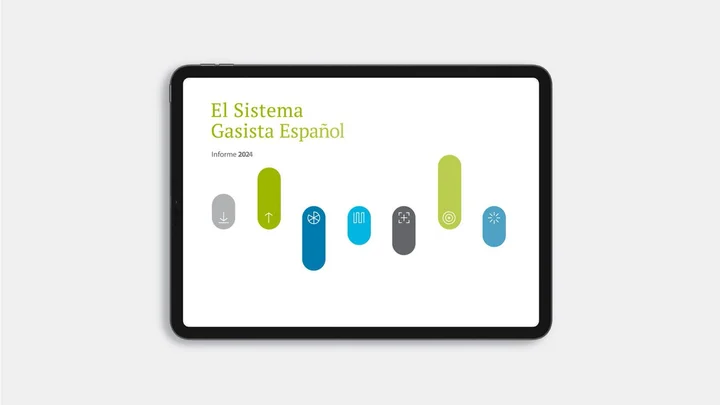 Informe Sistema Gasista 2024 