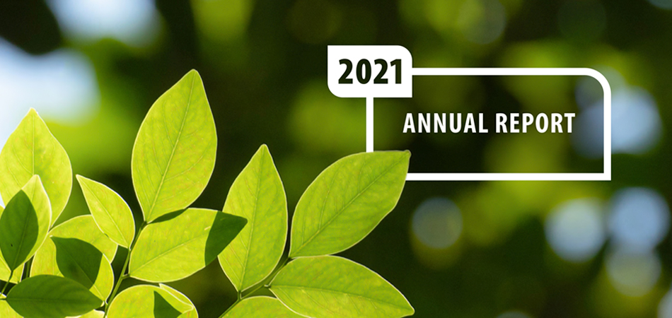 Annual Report 