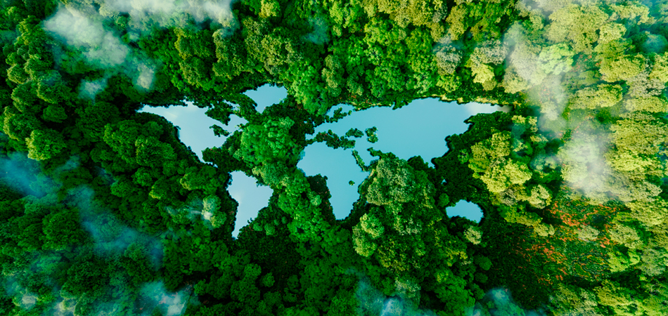 World map silhouette in the middle of a green forest