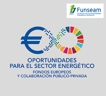 X Simposio Internacional Funseam logo