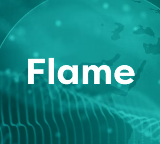 Logo Flame 2023