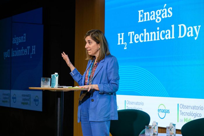 Clausura y conclusiones por parte de la Directora General de Transición Energética, Natalia Latorre
