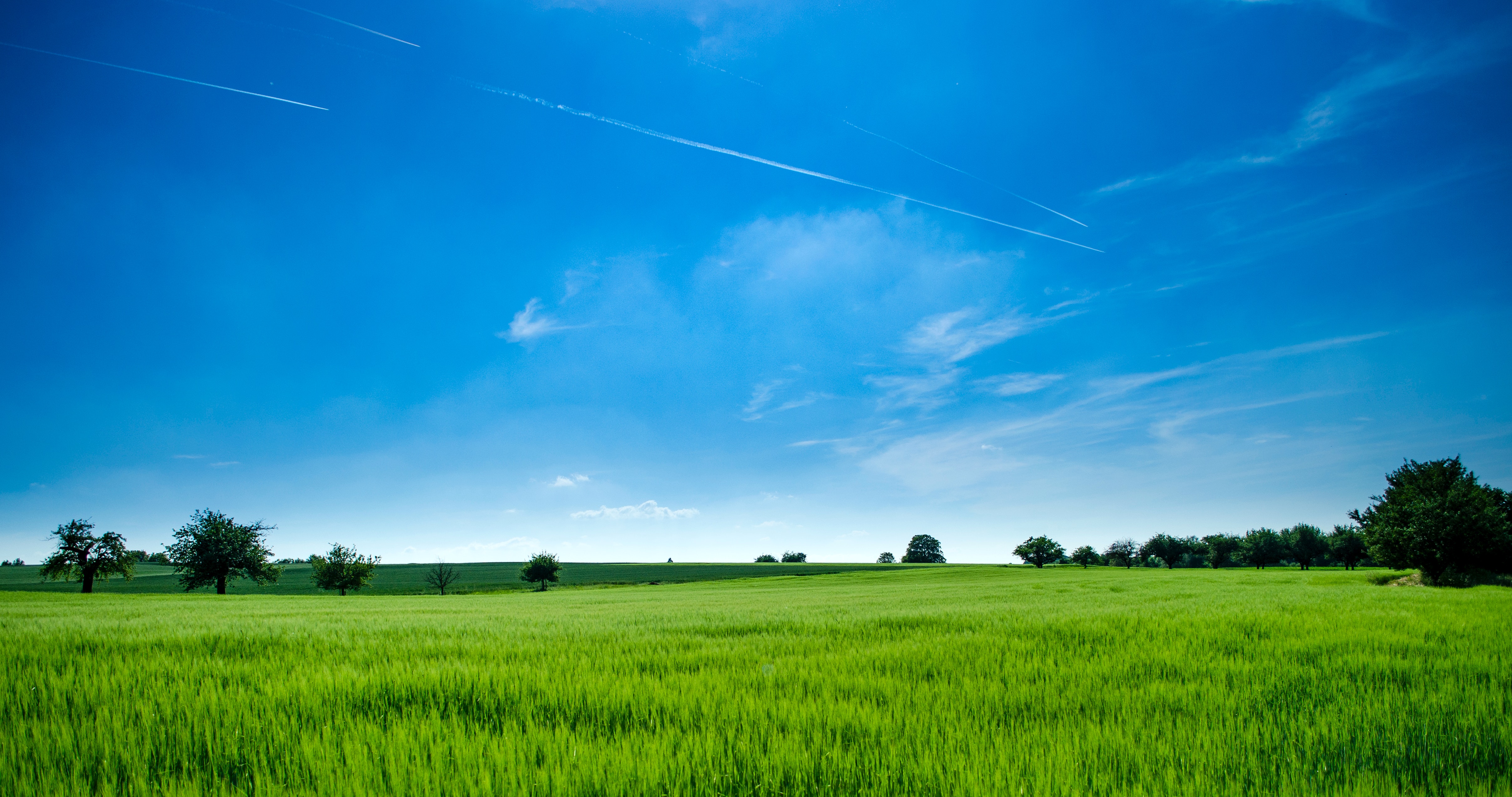 Imagen de un campo verde