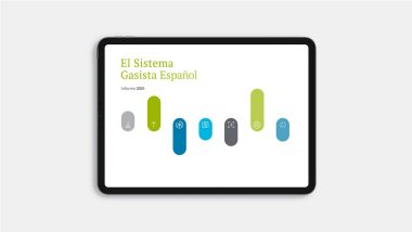 Informe Sistema Gasista 2024 