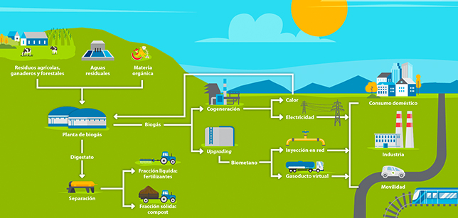 Esta ilustración muestra cómo se convierten los residuos en biogás y biometano y sus distintas aplicaciones.