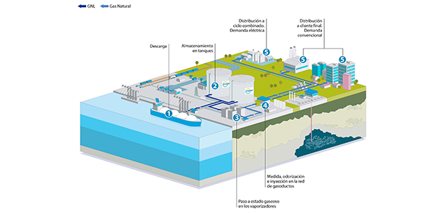 Esta infografía representa el proceso que sigue el gas natural desde su descarga en una planta de regasificación hasta su distribución a cliente final. 