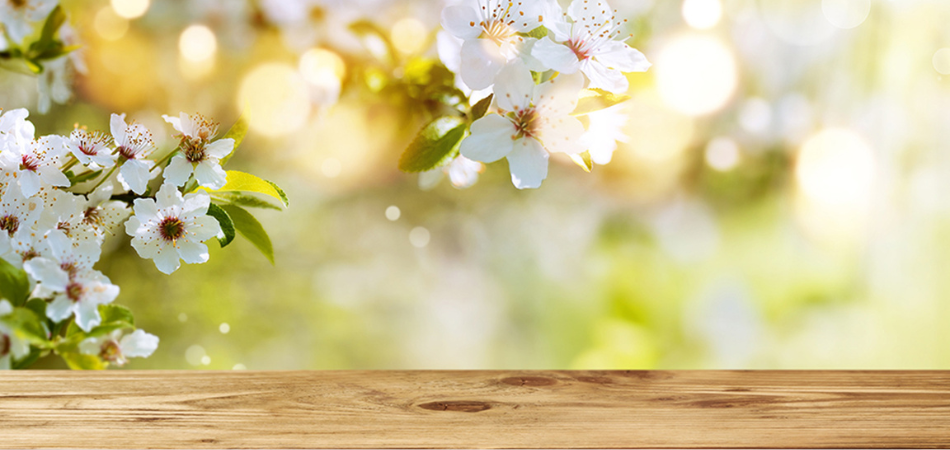 spring flowers