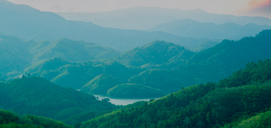 Green landscape with mountains and trees