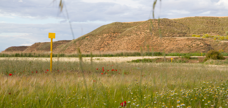 Enagás landmark in a landscape