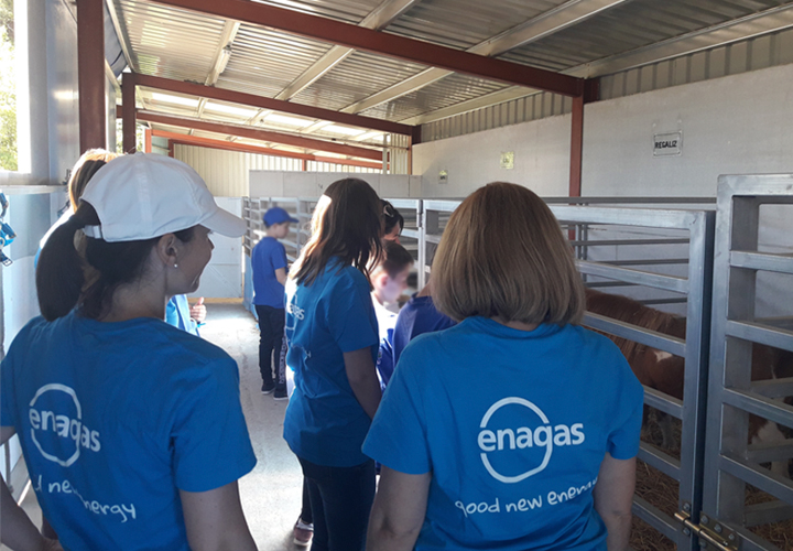 Enagás volunteers