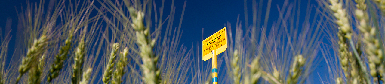 Enagás landmark in spikes field