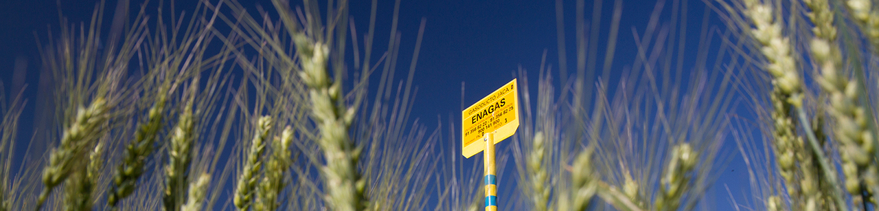 Enagás landmark in spikes field