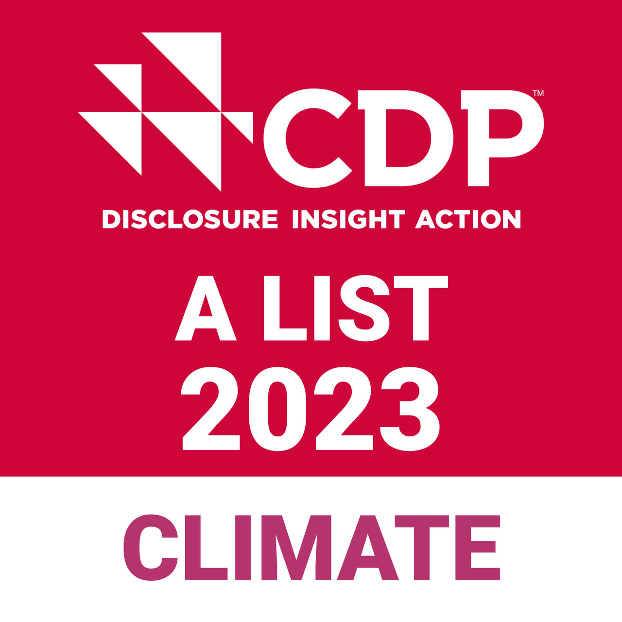 CDP A List Climate 2023 logo
