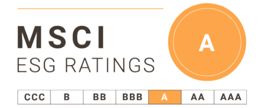 MSCI ratings logo