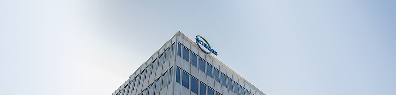 Enagás group logo
