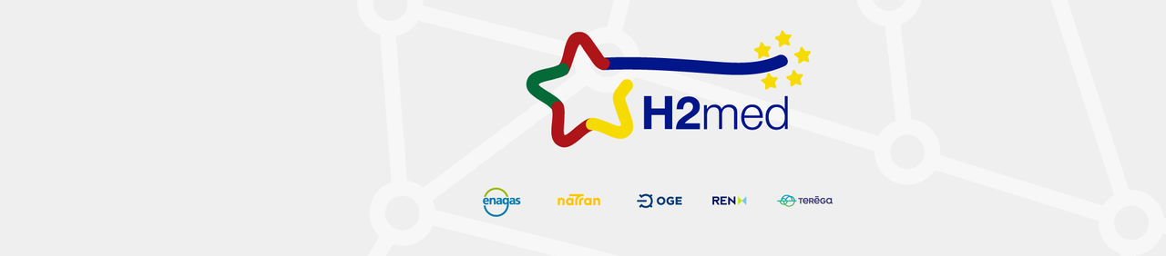 H2med, an example of energy cooperation in Europe 