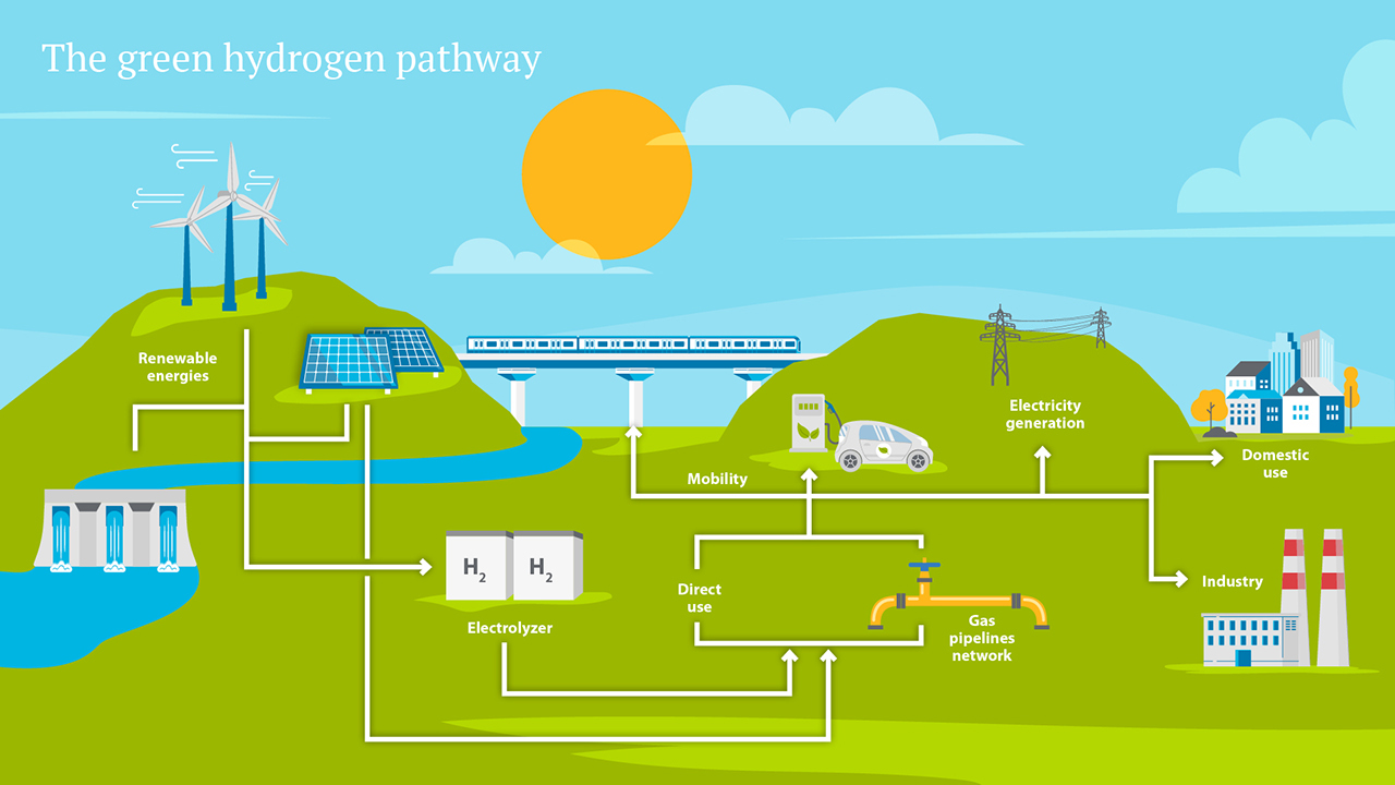 The green hydrogen pathway