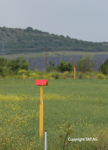 Landmark in green field