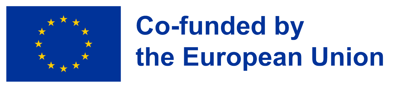 Logo indicating the project is co-funded by the European Union