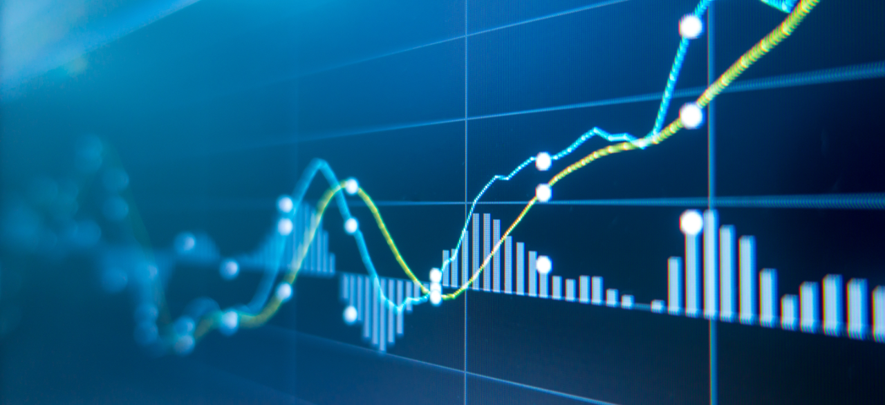 Minority Shareholders