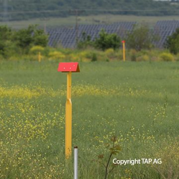 Yellow landmark in green field