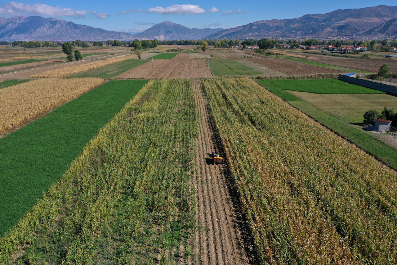 Green field with mountains behind