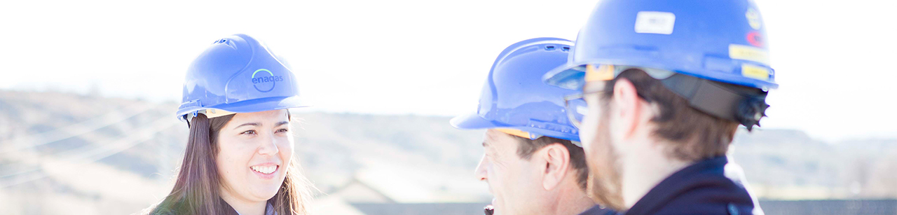 Operadores de Enagás con casco