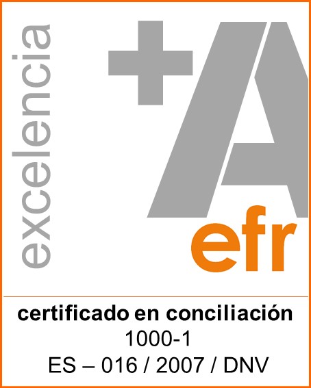 Logo excelencia A+ efr