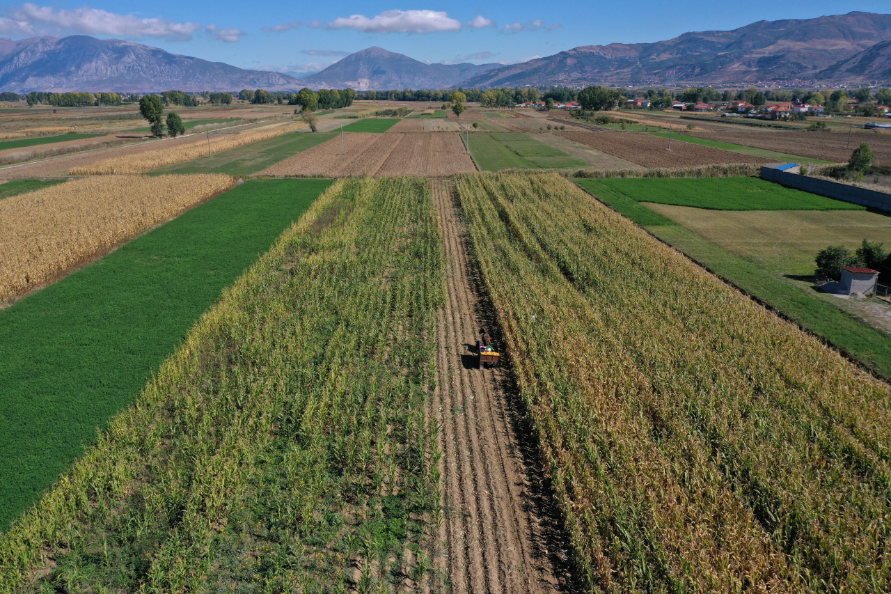 Foto recurso de un campo
