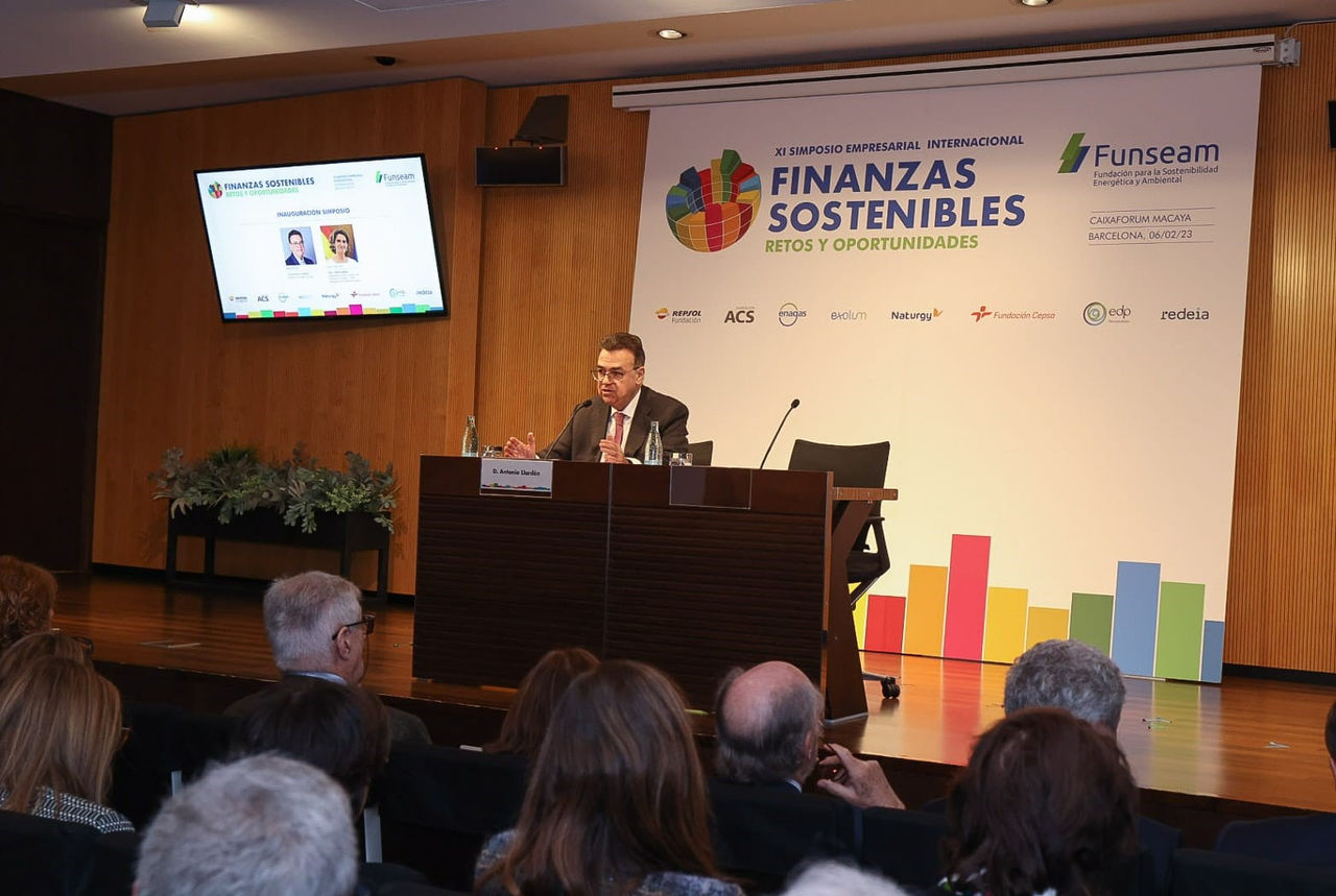 Presidente de Enagás durante su intervención en Funseam